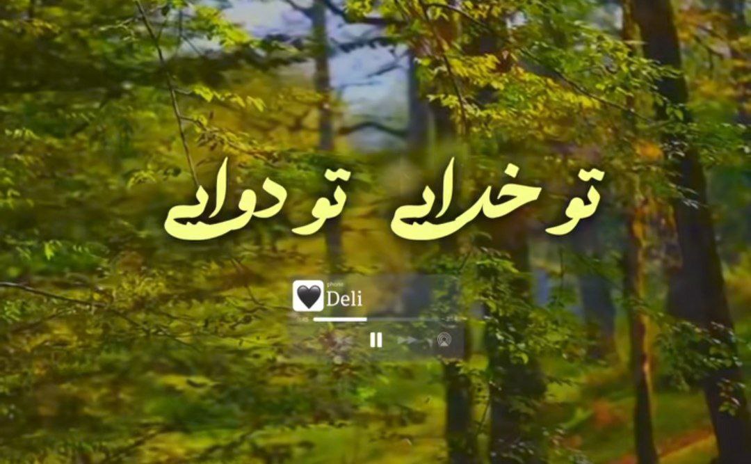 تو خدایی تو دوایی تو طبیب قلبمی